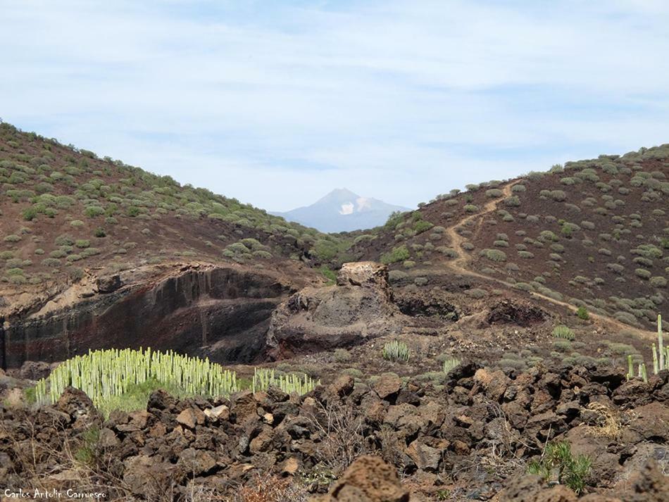 德尔锡伦西奥海岸Sea Mountain In Atlantico公寓 外观 照片